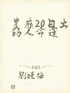 农历20日出生的人命运