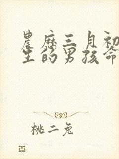 农历三月初九出生的男孩命运封面