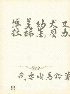 博美幼犬又吐又拉稀怎么办封面