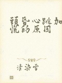 头昏心跳加速心慌的原因