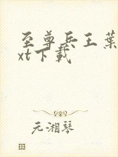 至尊兵王叶枫txt下载封面