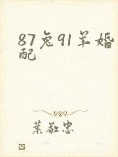 87兔91羊婚配
