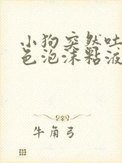 小狗突然吐了白色泡沫粘液