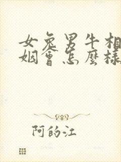 女兔男牛相配婚姻会怎么样