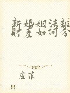 新婚姻法离婚后财产如何分配