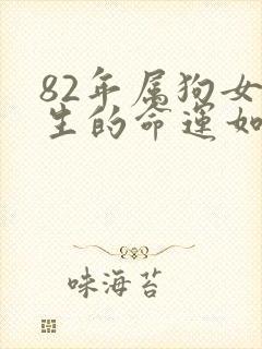 82年属狗女一生的命运如何