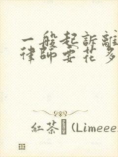 一般起诉离婚请律师要花多少钱