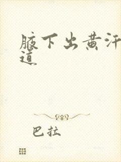 腋下出黄汗有味道