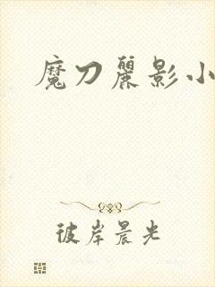 魔刀丽影小说