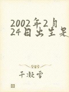 2002年2月24日出生是什么命