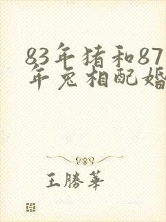 83年猪和87年兔相配婚姻如何