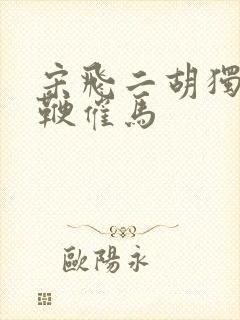 宋飞二胡独奏扬鞭催马