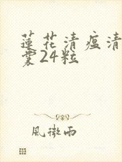 莲花清瘟清瘟胶囊24粒