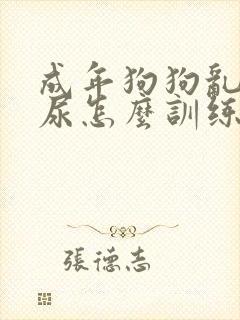 成年狗狗乱拉乱尿怎么训练封面