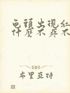 龟头出现红点是什么不疼不痒封面