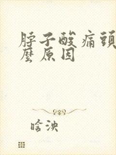 脖子酸痛头晕什么原因