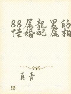 88属龙男的最佳婚配属相