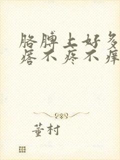 胳膊上好多小疙瘩不疼不痒封面