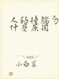 人的后脑勺疼是什么原因封面