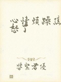 心情烦躁焦虑易怒了封面