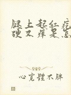 腿上起红疙瘩又硬又痒是怎么回事