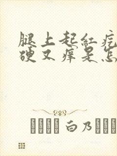 腿上起红疙瘩又硬又痒是怎么回事封面