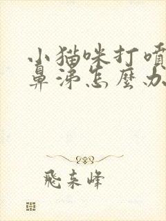 小猫咪打喷嚏流鼻涕怎么办