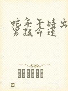 蛇年午时出生的男孩命运