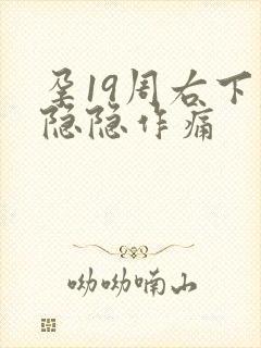 孕19周右下腹隐隐作痛封面