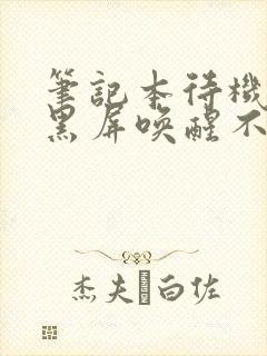 笔记本待机久了黑屏唤醒不了