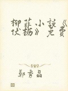 柳菲小说《老骥伏枥》免费阅读