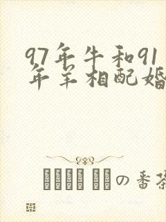 97年牛和91年羊相配婚姻如何