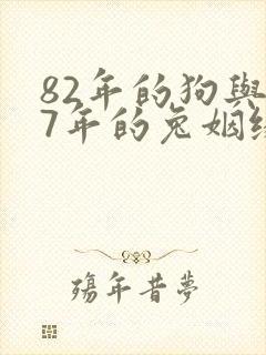 82年的狗与87年的兔姻缘