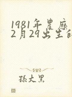 1981年农历2月29出生的命运
