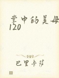 掌中的美母版主120