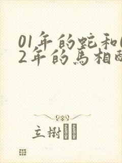 01年的蛇和02年的马相配封面