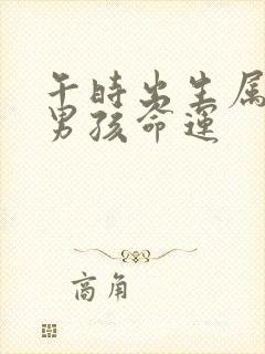 午时出生属兔的男孩命运封面