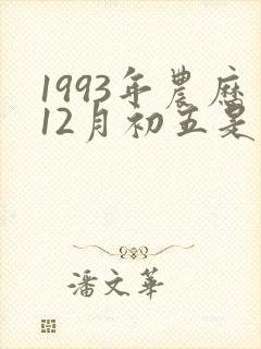 1993年农历12月初五是什么命