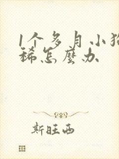 1个多月小狗拉稀怎么办