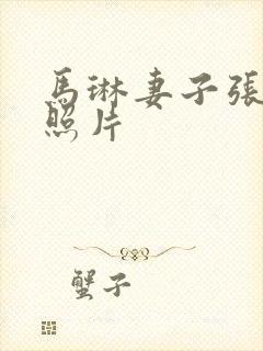 马琳妻子张雅晴照片