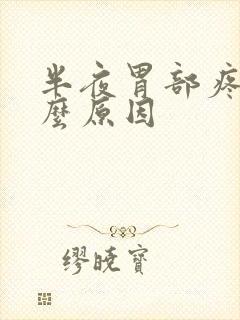 半夜胃部疼痛什么原因