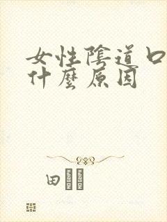 女性阴道口痒是什么原因