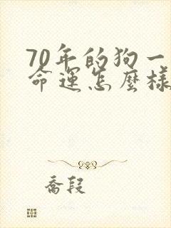 70年的狗一生命运怎么样
