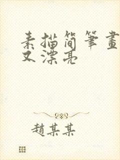 素描简笔画简单又漂亮封面