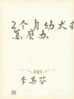 2个月幼犬拉稀怎么办