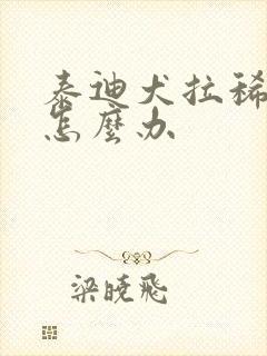 泰迪犬拉稀带血怎么办封面