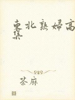 东北熟妇高潮合集