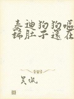 泰迪狗狗呕吐拉稀肚子还在响封面