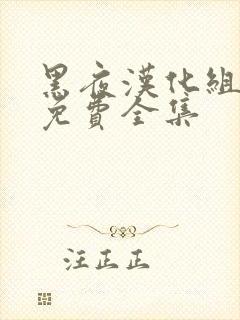 黑夜汉化组漫画免费全集