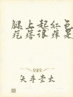 腿上起红色的小疙瘩很痒是因为什么